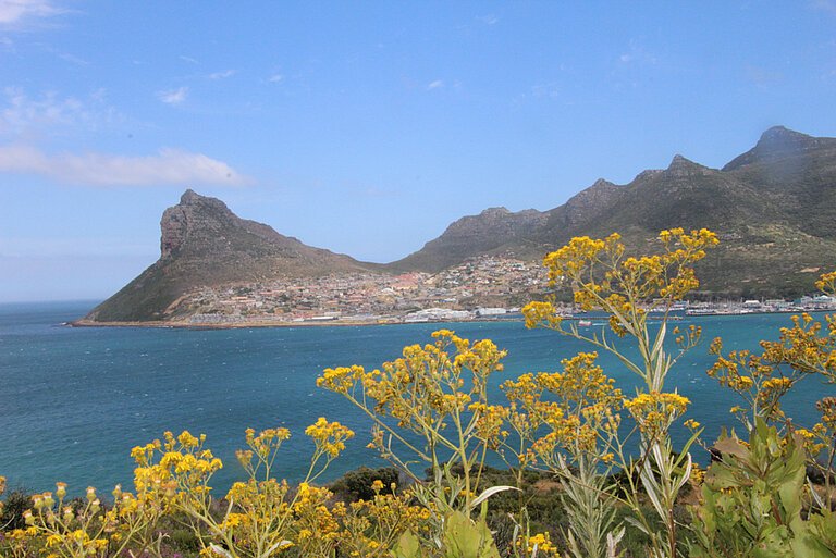 105.jpg 
