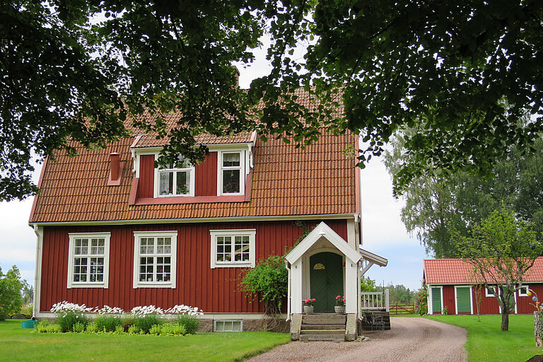 19.jpg 