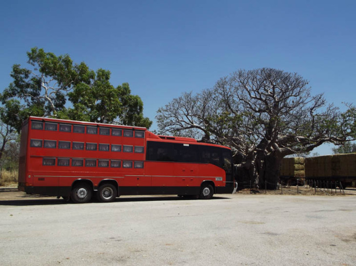 Begeistert von Australien! - Rotel Tours Reiseblog