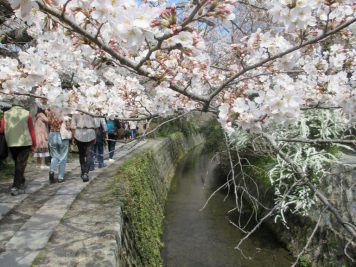 Japan Rundreise Reiseveranstalter Rotel Tours