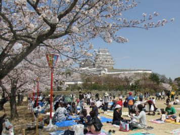 Japan Rundreise Reiseveranstalter Rotel Tours