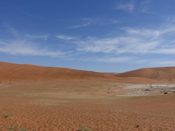 Namibia, Grassteppe