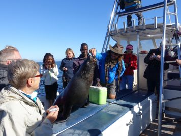 Ausflug, Boot, Namibia