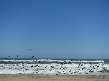 Krmorane, Namibia