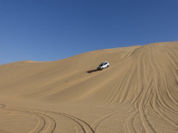Jeep, Wüste, Safari