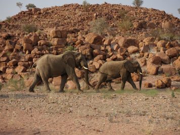 Rotel Tours, Namibia, Wanderreise