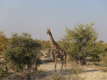Rotel Tours, Namibia, Wanderreise