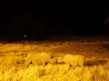 Rotel Tours, Namibia, Wanderreise
