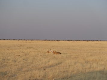Rotel Tours, Namibia, Wanderreise