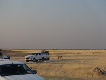 Rotel Tours, Namibia, Wanderreise