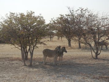 Rotel Tours, Namibia, Wanderreise