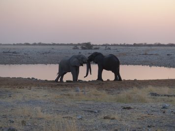 Rotel Tours, Namibia, Wanderreise