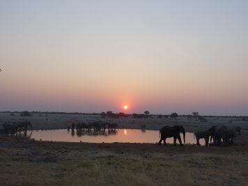 Rotel Tours, Namibia, Wanderreise