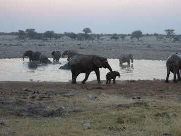 Rotel Tours, Namibia, Wanderreise