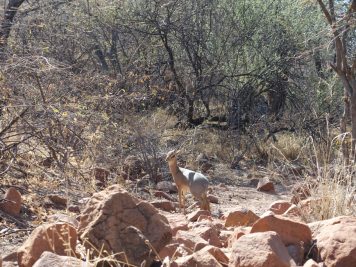 Rotel Tours, Namibia, Wanderreise