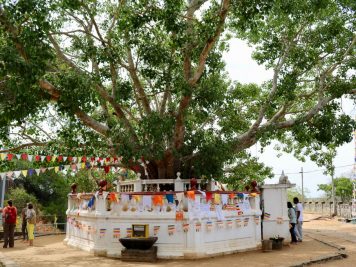 Rundreise durch Sri Lanka mit Rotel Tours