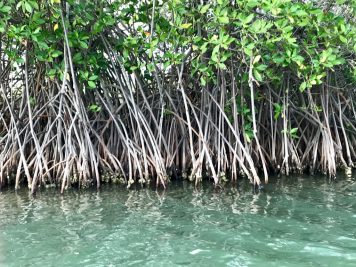 Rundreise durch Sri Lanka mit Rotel Tours