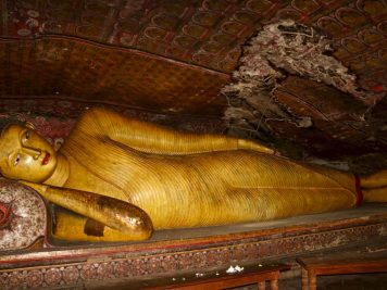 Rundreise durch Sri Lanka mit Rotel Tours