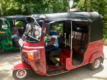 Rundreise durch Sri Lanka mit Rotel Tours