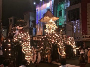Rundreise durch Sri Lanka mit Rotel Tours