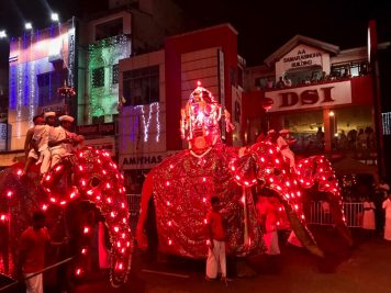 Rundreise durch Sri Lanka mit Rotel Tours