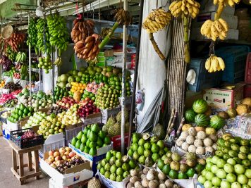 Rundreise durch Sri Lanka mit Rotel Tours