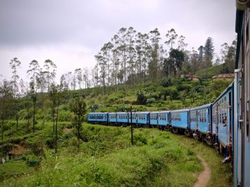 Rundreise durch Sri Lanka mit Rotel Tours