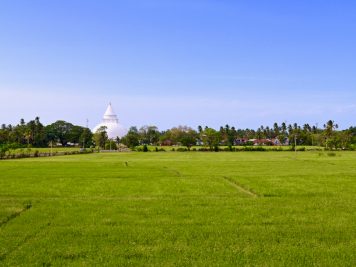 Rundreise durch Sri Lanka mit Rotel Tours