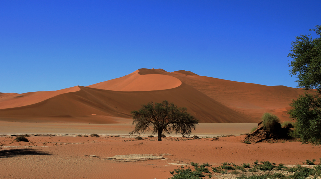 Sanddünen von Sossusvlei