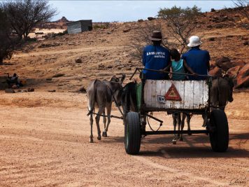 Namibia, Eselkarren, Damara,
