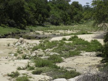 Mit Rotel Tours in Südafrika