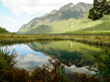 Mirror Lake