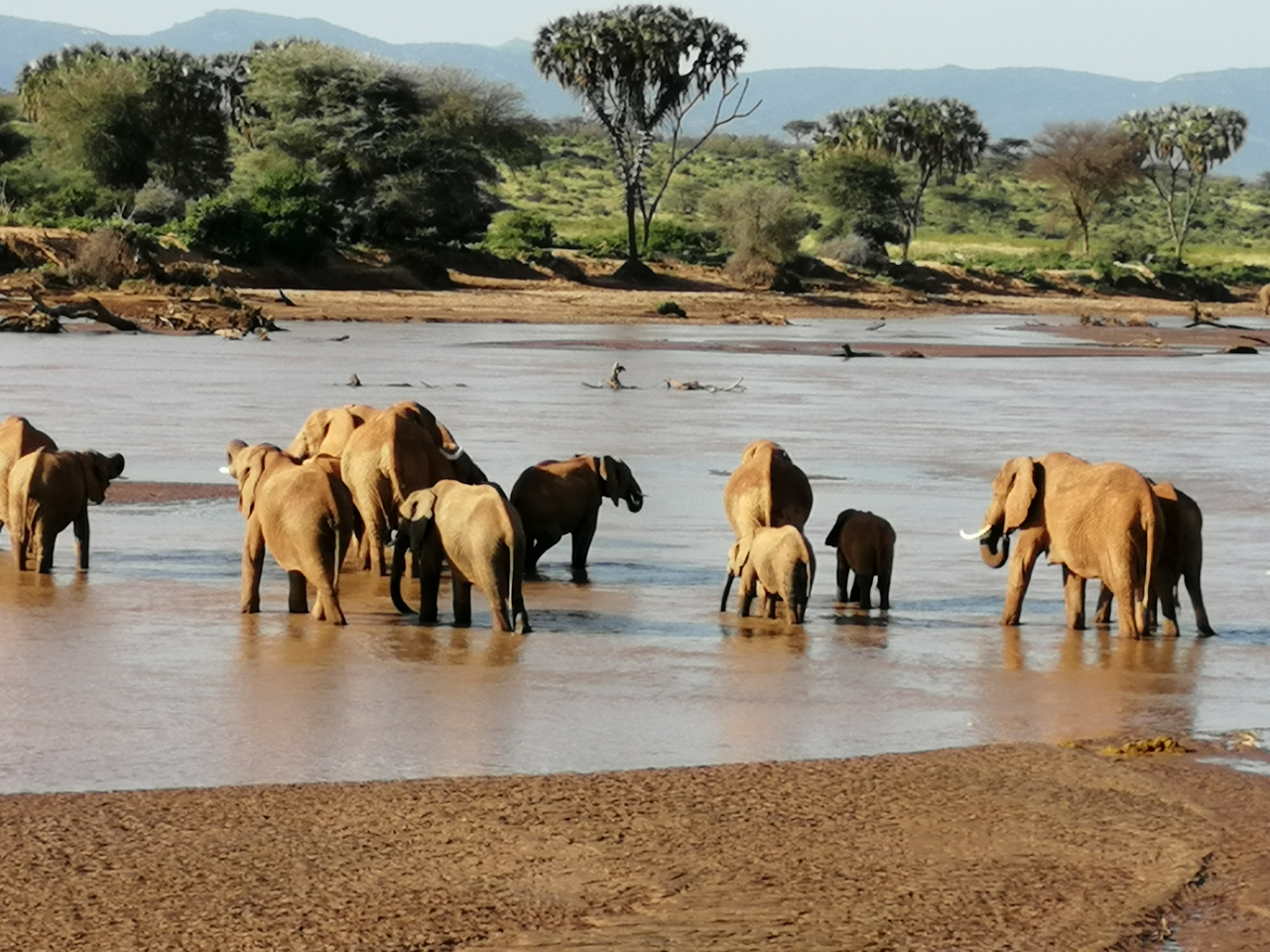 Mit Rotel Tours unterwegs in Afrika