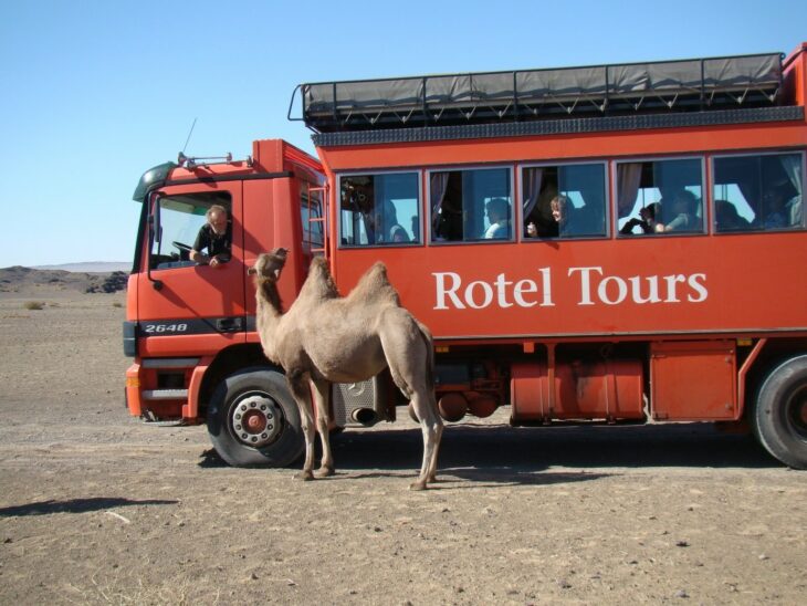 rotel tours mongolei