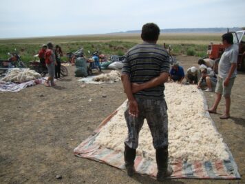 Mongolei Rundreise