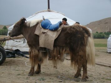 Mongolei Rundreise