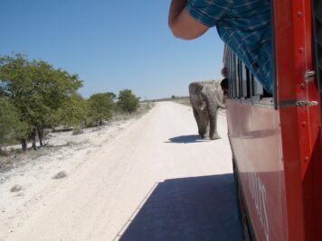 Elefanten, Afrika Rundreise