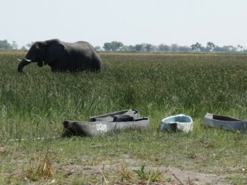 Elefanten, Afrika Rundreise