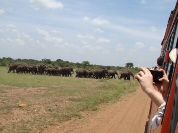 Elefanten, Afrika Rundreise