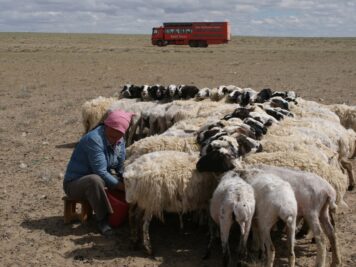 Mongolei Rundreise